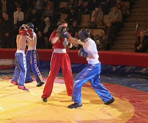 Фестиваль боевых искусств