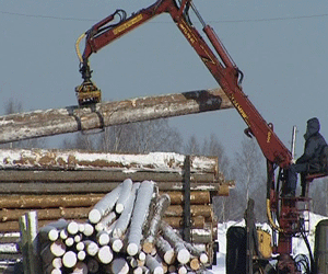 Проблемы малого предпринимательства лесной отрасли в Нагорском районе