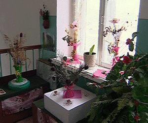 Цветы в подъезде  к празднику 8 марта