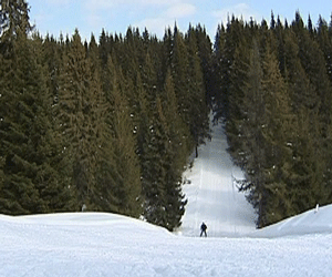 Лыжная трасса в Омутнинске