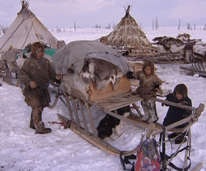 Традиции и современность в ненецкой деревне
