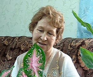 Цветовод Лидия Демина из Малмыжа