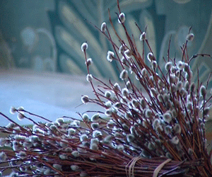 Вербное Воскресение