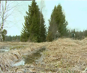 Открытие весеннего сезона охоты