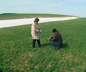 Начало весенне-полевых работ в хозяйстве «Согласие-2» Вятскополянского района