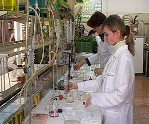 Конкурс «Лучший по профессии»  лаборантов -химиков