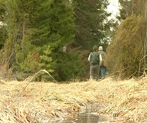 Место работы - лес