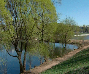 Обработка парков и скверов от клещей