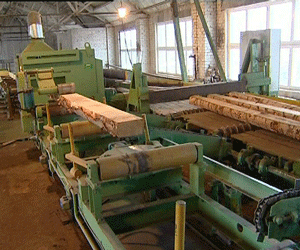 Деревообрабатывающий завод в городе Сосновка Вятскополянского района