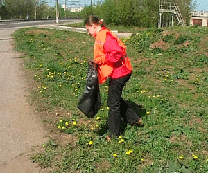 Совместная программа центра занятости и предприятий города по организации общественных работ