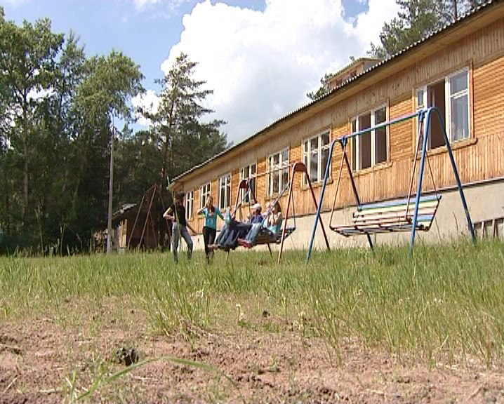 Шишки как история