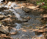 Утечка воды на улице Московской