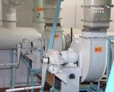 Фамилия каждого есть в «Плане»