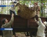 Чиновники Кильмези взялись за метлы и лопаты