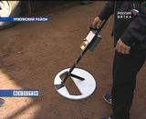 Прогулка по лесу с металлоискателем