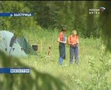 Комары – тоже романтика 