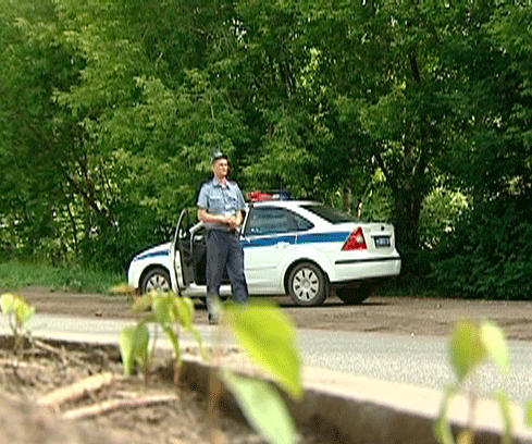 Профессиональный праздник сотрудников Государственной инспекции безопасности дорожного движения