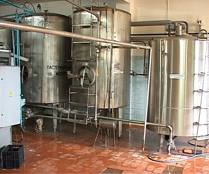 Молокопровод от коровьего стада прямо на завод