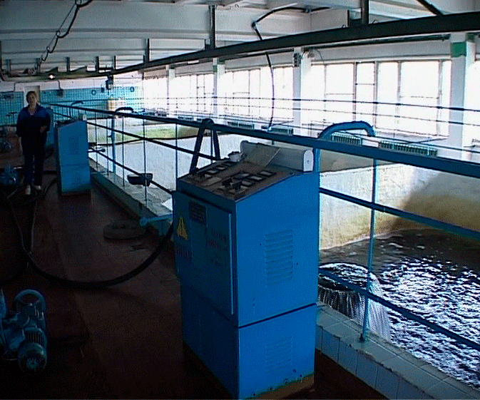 Убить заразу током и солью