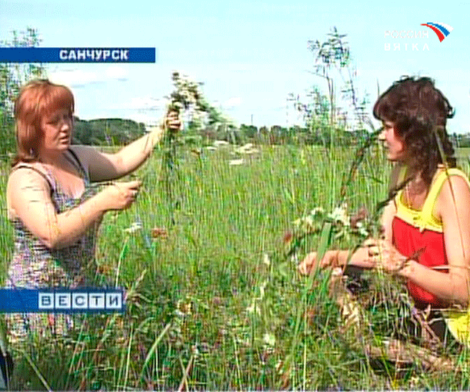 Праздник Ивана Купалы в Санчурске