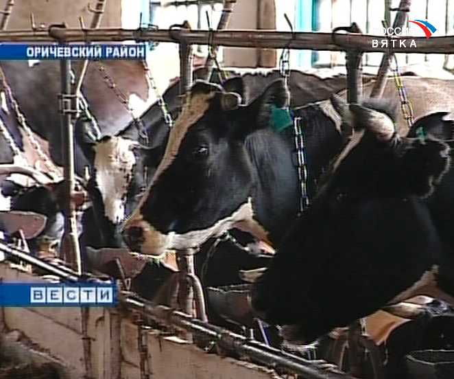 Молоко  - стратегический продукт