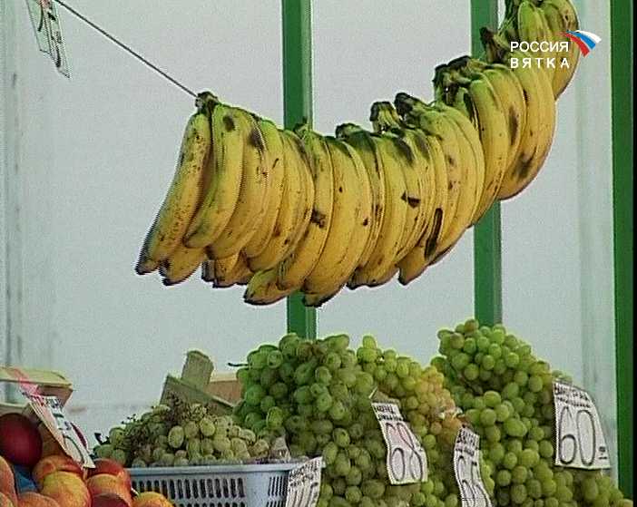 Безопасность продуктов питания в летнее время