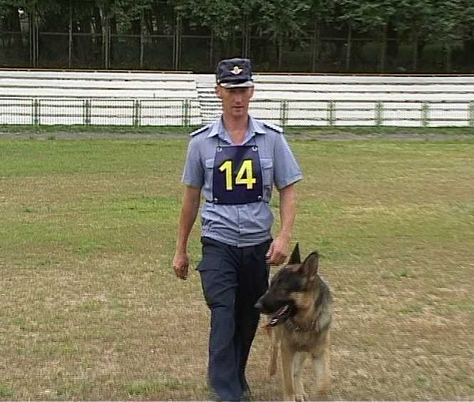 Соревнования служебных собак