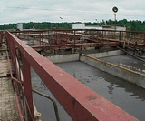 Убить заразу током и солью