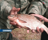 Соревнования по рыболовному спорту