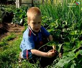 Большая семья в поселке Даровской