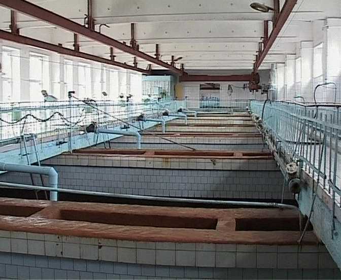 Пуск очистных сооружений в Корчёмкино