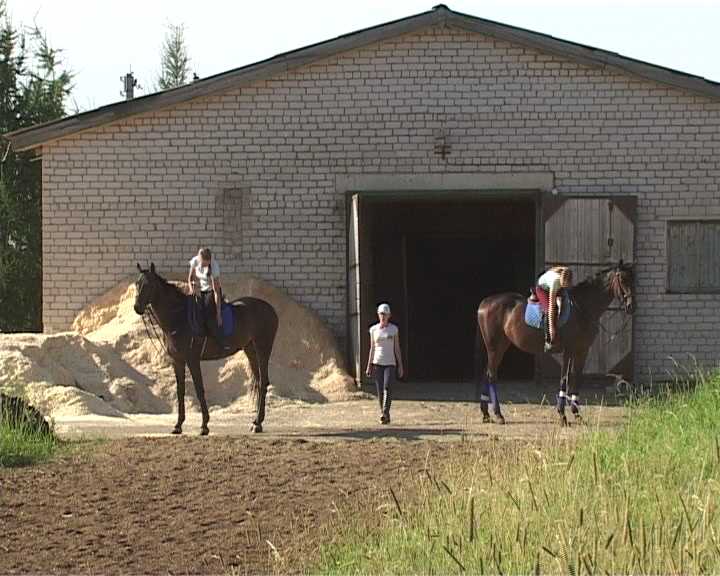 На базе кировского ипподрома будет создан спортивно-оздоровительный центр