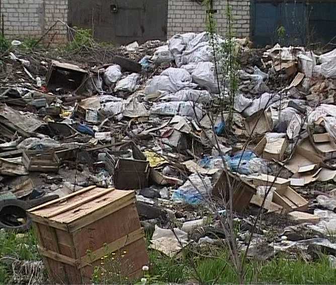 Число стихийных свалок превышает санкционированные