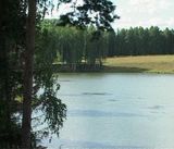 Таинственная атмосфера в доме-музее Васнецовых