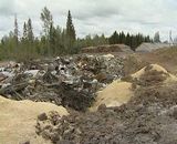 Число стихийных свалок превышает санкционированные