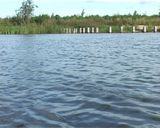 Бизнес на воде