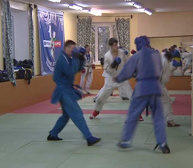 Мастера рукопашного боя готовятся к чемпионату  Приволжья