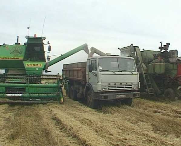 Уборочная страда на полях Вятскополянского района