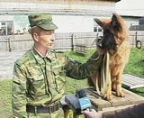 Конкурс кинологических служб  в Омутнинске