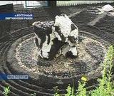 Оазис красоты за колючей проволокой