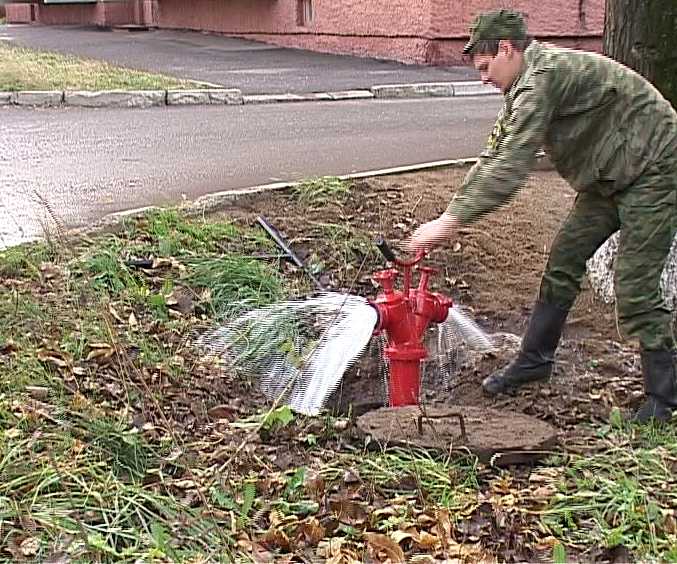 Профилактическая операция 