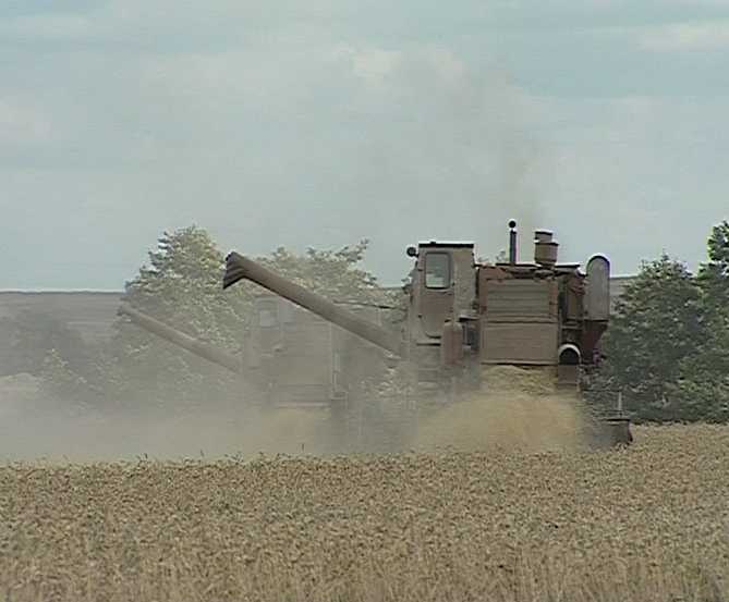 Итоги уборки урожая 2008 года