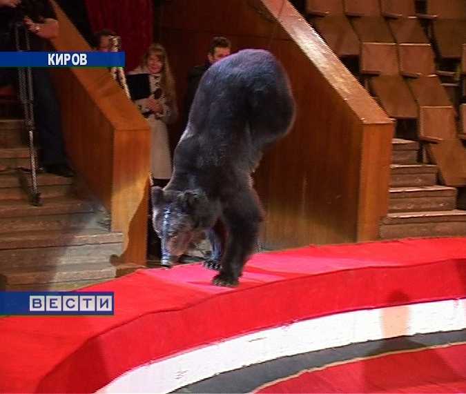 В Киров приехал цирк Филатовых