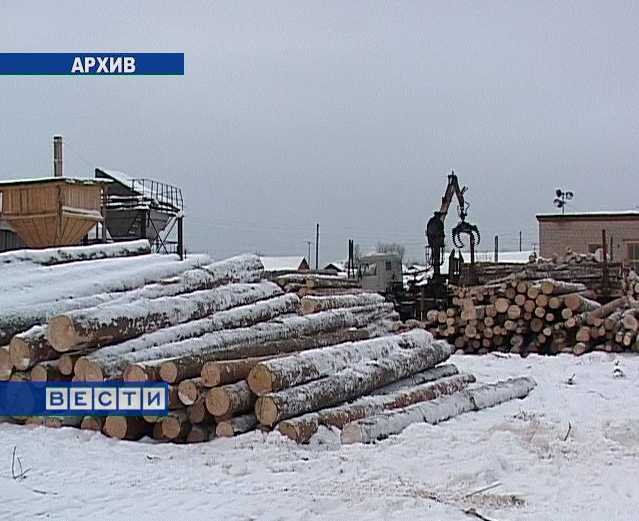 Новые правоотношения в лесном хозяйстве