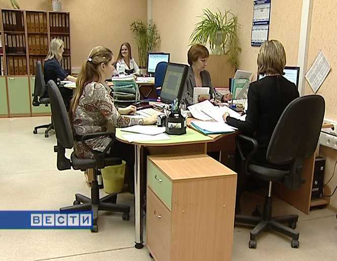 День образования казначейства