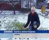 Глобальное потепление на Вятской земле