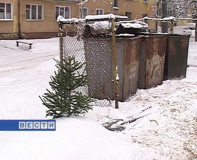 Новогодние елки на свалке