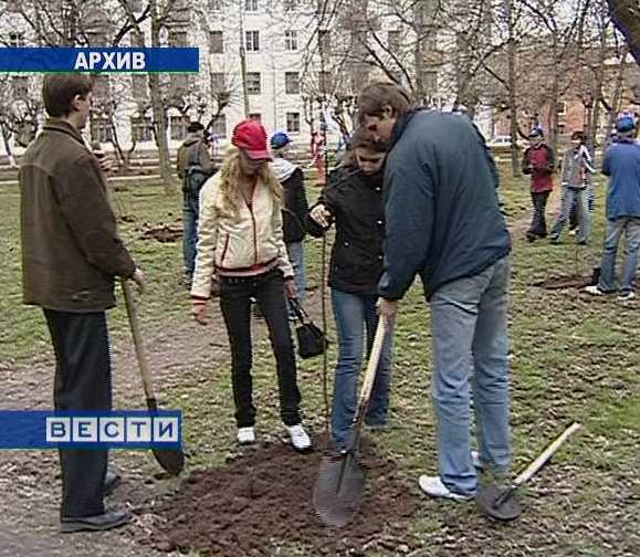 Озеленение города