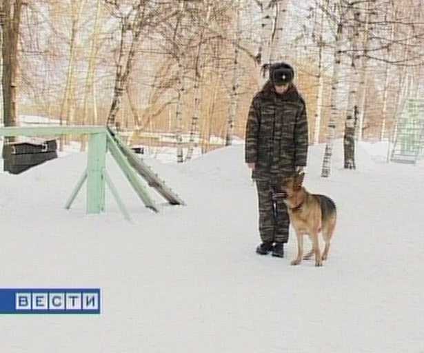 Работа за колючей проволокой