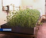 Подготовка к посевной